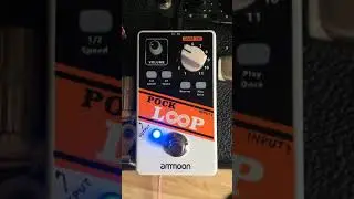 Pock Loop Pedal Guitar Looper Pedal