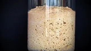 The Art of Sourdough | Cinematic Bread B-Roll