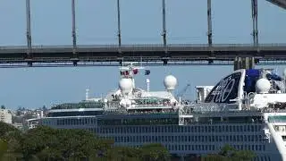 Watching P&O Pacific Explorer pass under the Sydney Harbour Bridge