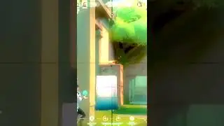 📦 The Box (Valorant Montage)