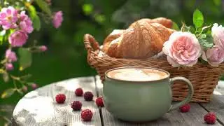 Happy Winter Jazz Music December Bossa Nova instrumental for Working & Studying