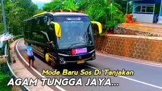 Mode Baru Agam Tungga Jaya @CleopatraChannel-yt 
