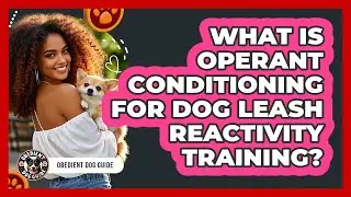 What Is Operant Conditioning For Dog Leash Reactivity Training? - Obedient Dog Guide