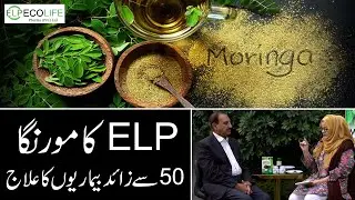 Benefits of Moringa by Dr. Anees l Eco Life Pharma's Moringa | Sohanjna