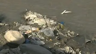 'I like plastic': Pakistan's toxic 'love affair' with waste | AFP