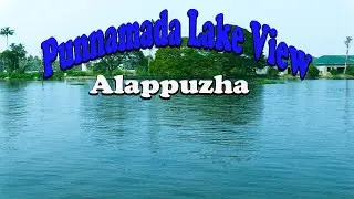 Punnamada Lake View.   புன்னமடை ஏரி.   Alappuzha - Kerala - India.