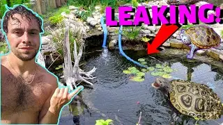 My Pond is Leaking...