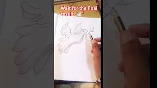 How to draw a beautiful Dove in 1 minute! ✨. #drawing #art #sketch #dove #peace #artist #pencilart