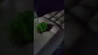 Bryophyta🤓🙂 #youtubeshorts #songs #biology #bryophyta #foryou