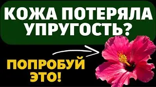 5 трав, которые возвращают упругость коже лица