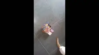 BLUE TOOTH OBSTICLE AVOIDING ROBOT