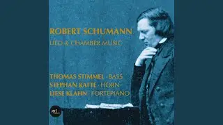 Kernerlieder Op.35: 8. Stille Liebe
