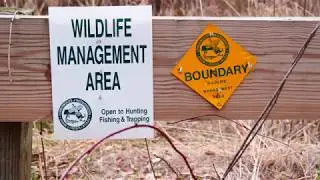 The Pillage of Muddy Brook  (Wildlife Management Area)