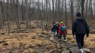 2025_3_ Pine Swamp Mountain and Hogencamp Mountain Loop _ NY