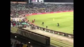 Crowd Erupts As South Africa Beat Australia in Durban