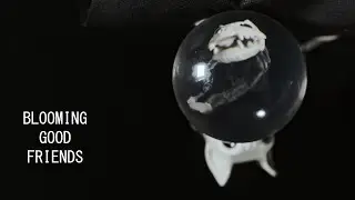 Blooming Good Friends - The short puppet animation film