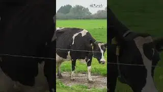 Hoe bekostig je een boerenschuur zonder bank? | RTV Oost