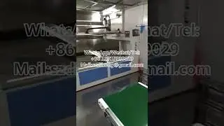 High-quality, fully auto. spray line with 5-axis reciprocating machine for efficient coating of plas