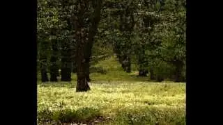Johannes Brahms, 4 Pieces for Piano Op  119, 1  & 2    Beth Levin, Piano