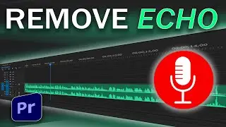 Remove Voice Over ECHO | Premiere Pro ECHO cleanup VOICE OVER