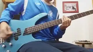 Digging the Grave - Faith No More (Raw Bass Cover)