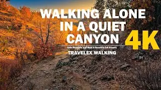 Travelex Walking Peaceful Solo Walk Through a Golden Mountain Valley 4K