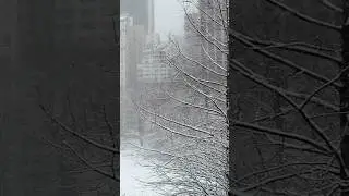 Central Park in snow #centralpark #beautifulworld #centralparknewyork  #newyork #newyorkcity #shorts