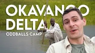 Botswana Safari VLOG - My Journey to the Delta (Oddballs Camp)