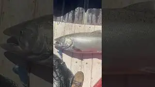 SALMON FISHING CALIFORNIA 2025