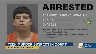 Arrest made in deadly basketball fight in Carrollwood