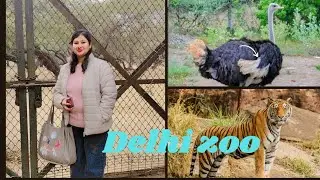 zoo mai bachcho ne ki masti  !! #zoovlog #familyvlog #kidsvlog #momlife #motherhood #bachchokidunia 