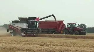 Rostselmash Torum 770 rotary combine unloading on Annaburger grain cart and Case IH Magnum + Take II