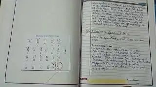 to study syndrome (down syndrome, klinefelters syndrome, turners syndrome) through karyotypes/ du