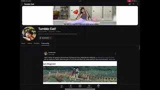 FEATURE VIDEO! Sub to Tumble Cat!