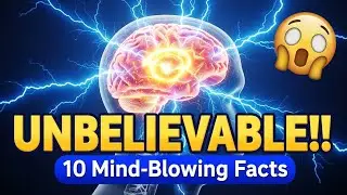 The Most Unbelievable Facts You&rsquo;ll Hear Today