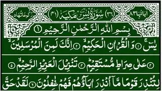 Surah Yaseen Beautiful Voice || Surah Rahman Full || Ep 097 ||beautiful quran recitation ||quran pak
