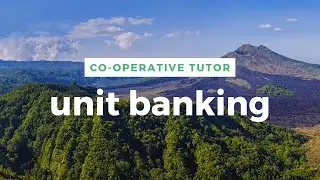 UNIT BANKING