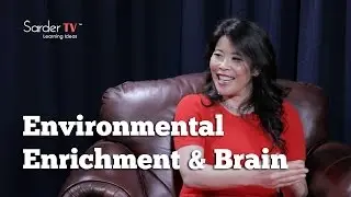 How does an enriched environment affect the brain? by Wendy Suzuki