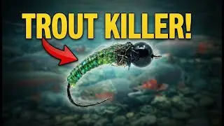 Tying a REALISTIC Caddis Fly in 3 Minutes with Catgut
