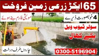 Land For Sale | 65 Acre Cheap Agriculture Land For Sale In Punjab Pakistan