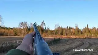 Uudella haulikolla kiekkoja. Franchi affinity 3.5 elite cobalt