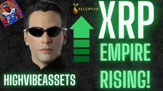 🚨 ВЕЛИКАЯ МИГРАЦИЯ XRP &mdash; РЕЗКИЙ ПРИТОК ИНСТИТУЦИОНАЛЬНОГО КАПИТАЛА ПЕРЕПИСАН В ПРЯМОМ ЭФИРЕ 🚨