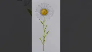 Let&rsquo;s paint a daisy flower using alcohol markers! #alcoholmarkers #daisyflower #beginnerarttips
