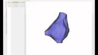 Neuronize: A tool for building realistic neuronal cell morphologies