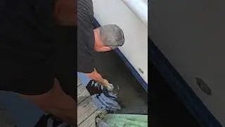Feeding a huge monster grouper by hand is crazy 😬 #shorts