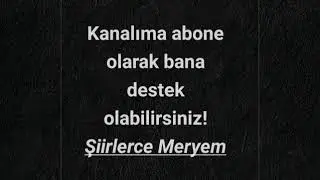 Siz Aşktan Ne Anlarsınız Bayım (Didem Madak Şiiri)