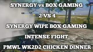 SYNERGY VS BOX GAMING | SYNERGY WIPE BOX GAMING | FINAL CIRCLE | INTENSE FIGHT | PMWL WK2D2