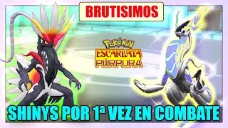 KORAIDON SHINY y MIRAIDON SHINY en COMBATE por 1&ordf; VEZ (LEGALES)! SON BUEN&Iacute;SIMOS, SON una LOCURA