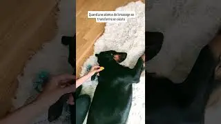 Brossage = Massage ?