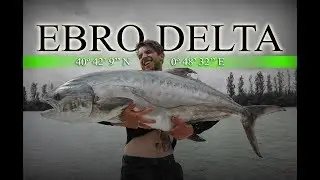 EBRO DELTA 2018 promo - GREEN FLAKE